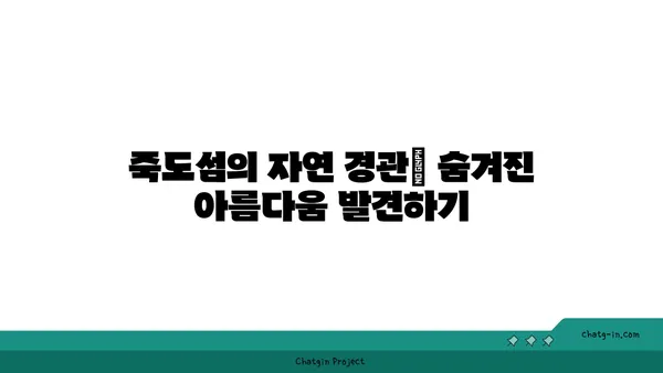 죽도섬 탐험: 홍성의 숨겨진 보물