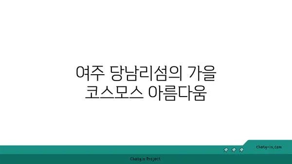 여주 당남리섬 코스모스: 가을의 분홍빛 풍경