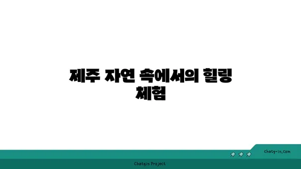 제주의 동백 정원: 카멜리아힐 수목원 탐험