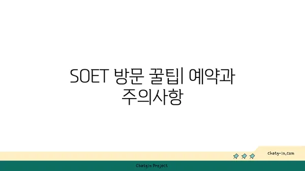 왕십리 핫플레이스: SOET 분위기 맛집