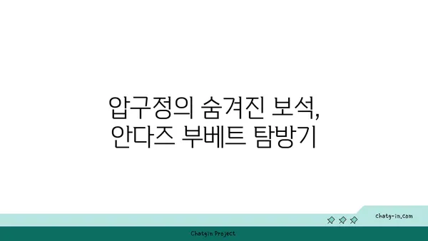 압구정 맛집 안다즈 부베트: 서울 핫플레이스 실내 데이트