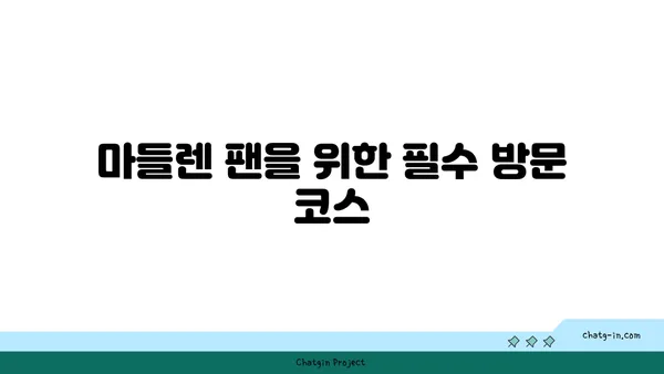 마들렌에서 단 것 좋아하는 사람을 위한 디저트 맛집