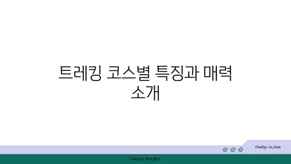 제주도의 자연 경이로움을 탐험하는 거문오름 트레킹