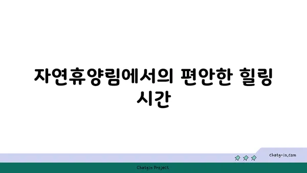 석모도 수목원 자연휴양림에서의 인천 섬 여행