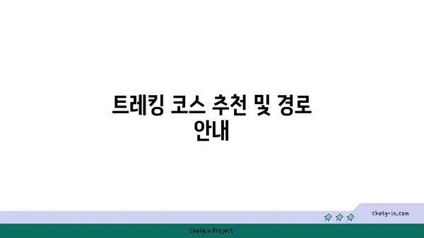 제주 화산섬과 용암 동굴의 트레킹 후기