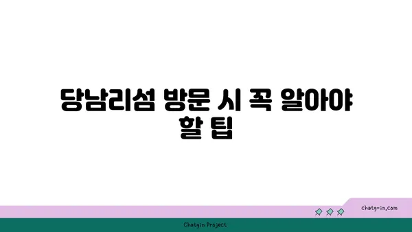 당남리섬: 핑크뮬리와 코스모스로 가득한 가을 여행지