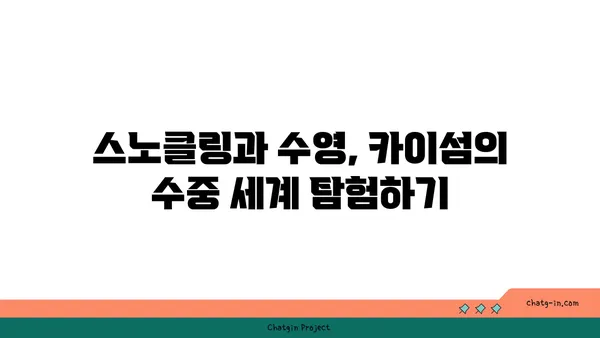 푸켓 카이섬: 숨막히는 바다를 자랑하는 반일 투어