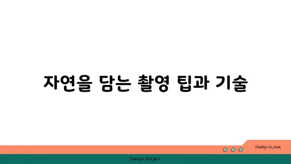 울릉도의 사진 기행: 숨막히는 풍경을 담은 사진 촬영