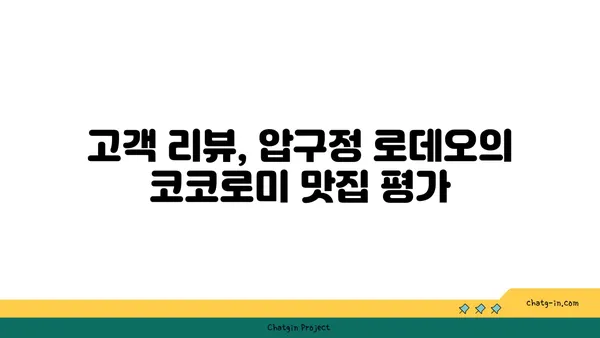 압구정 로데오 디저트맛집 코코로미