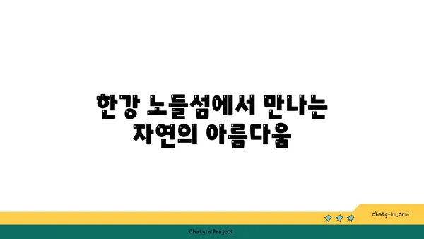 한강 노들섬: 자연, 문화, 휴식의 조합