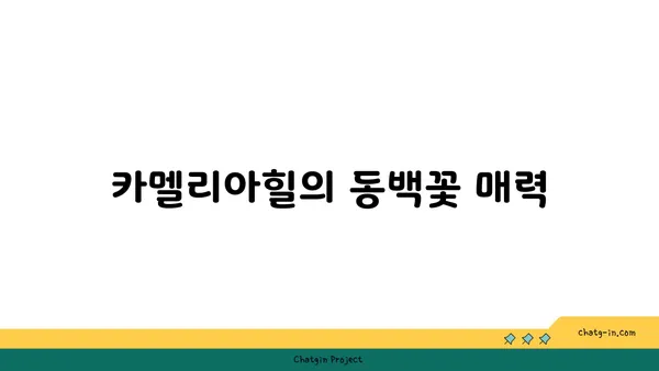 제주의 동백 정원: 카멜리아힐 수목원 탐험