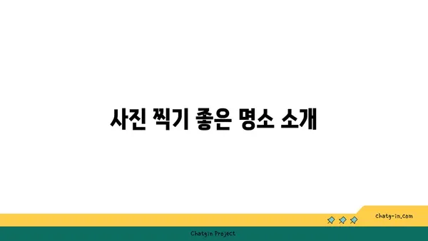 제주도 거문오름 트레킹: 자연의 경이로움 탐방