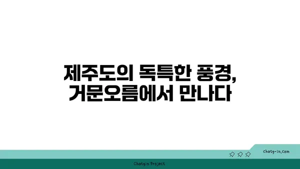 제주도의 자연 경이로움을 탐험하는 거문오름 트레킹