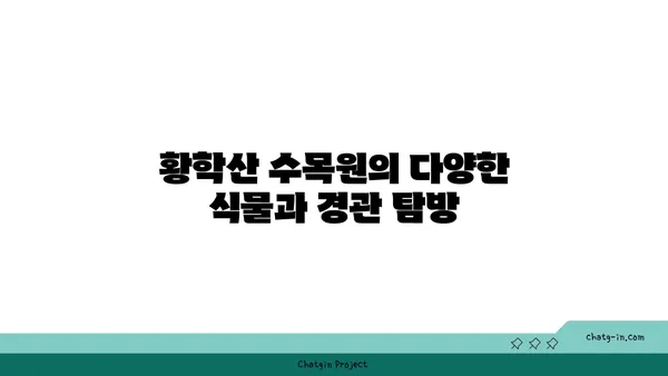 강천섬에서의 즐거움: 황학산 수목원과 금은모래 캠핑장