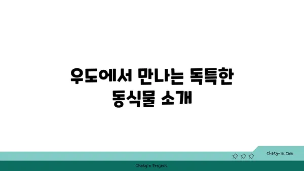 우도: 자연의 아름다움이 빛나는 섬