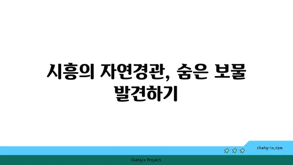 시흥 가볼 만한 곳 5선: 이국적인 매력 탐험하기