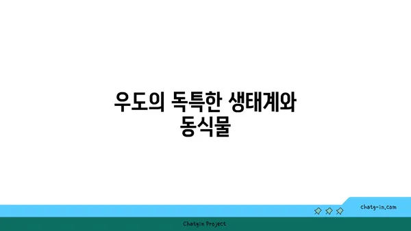 우도: 아름다운 자연으로 빛나는 섬