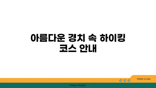 함덕도에서의 활동: 수영, 하이킹, 자전거 타기 등