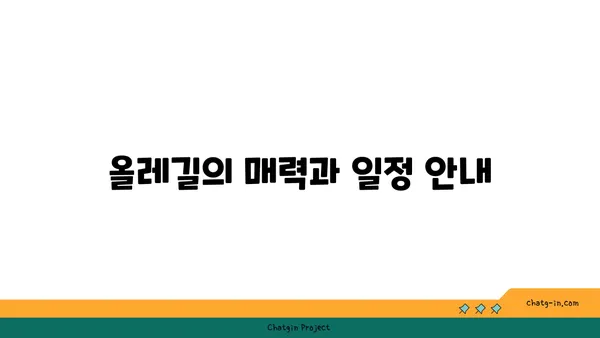 거문오름 트레킹 후기: 제주의 자연유산 탐방