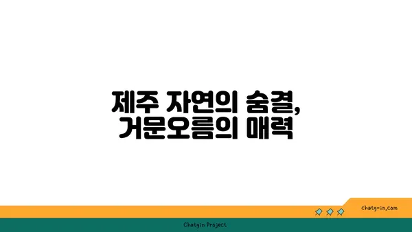 거문오름 트레킹: 제주 자연의 경이로움 탐방기