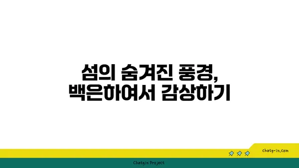 제주도의 백은하: 자연이 선물한 노래와 섬