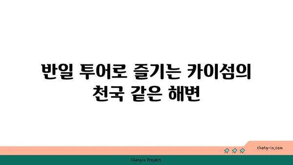 푸켓 카이섬: 숨막히는 바다를 자랑하는 반일 투어