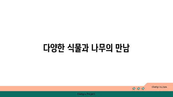 석모도 수목원에서 펼쳐지는 자연의 아름다움