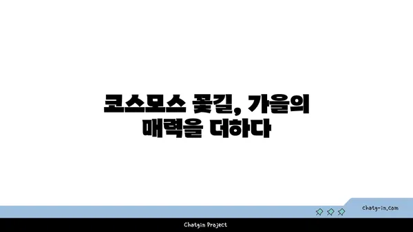 당남리섬: 핑크뮬리와 코스모스로 가득한 가을 여행지