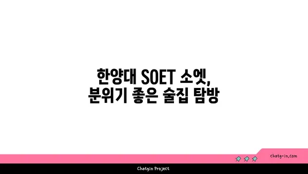 한양대 술집 핫플레이스, SOET 소엣