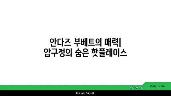 안다즈 부베트 예약: 압구정 핫플레이스