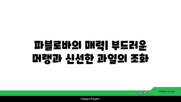 토밥 애호가를 위한 맛집: 파블로바 디저트 카페에서 호주의 국민 디저트 즐기기