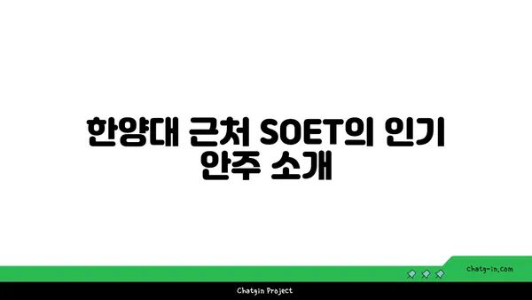 한양대 술집 핫플레이스, SOET 소엣