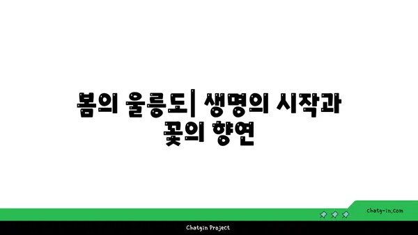 울릉도의 계절마다 볼거리: 봄부터 가을까지의 아름다움