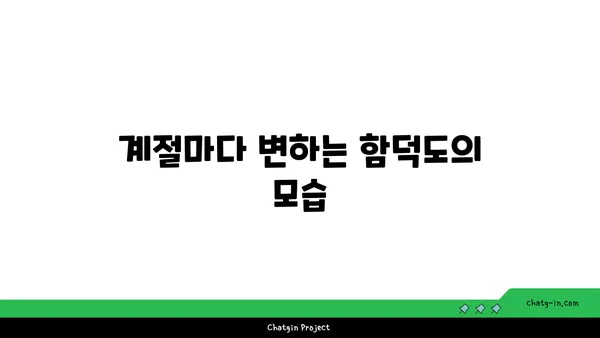 하이킹 애호가의 천국: 함덕도의 도전적인 산책로