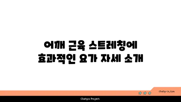 어깨 근육을 풀어주는 요가 명상법 추천