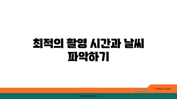 울릉도의 자연 경관 사진 촬영 가이드: 최고의 장면 캡처하기