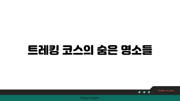 제주의 거문오름 트레킹: 화산섬과 동굴의 신비