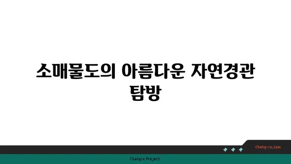 남해의 신비 속으로: 소매물도