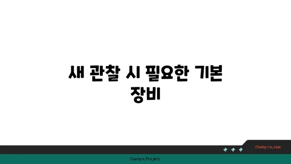 울릉도의 새 관찰 가이드: 다양한 조류 종 관찰