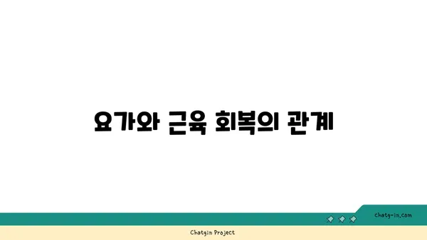 요가로 근력을 유지하는 30대 남성 맞춤 루틴