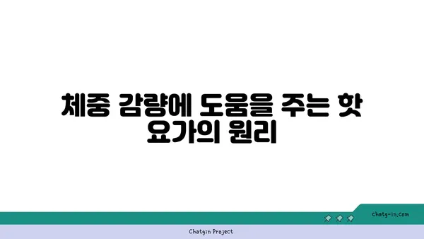 핫 요가의 장점과 주의해야 할 점