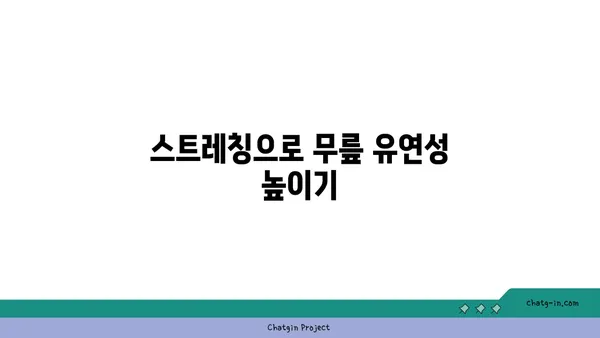 무릎 보호를 위한 빈야사 요가 스트레칭