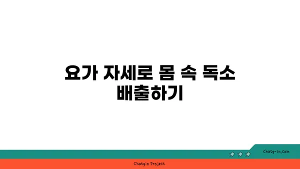 요가를 통한 신체 해독