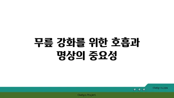 무릎 강화에 좋은 요가 명상법 추천