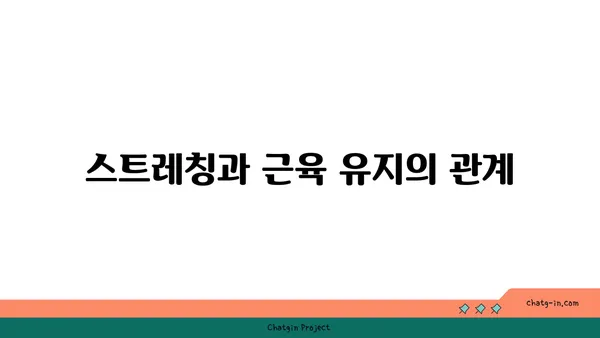 30대 남성의 근육 유지를 위한 요가 동작 추천