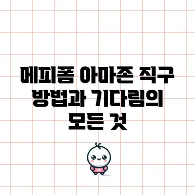 메피폼 아마존 직구 방법과 기다림의 모든 것