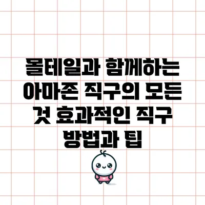 몰테일과 함께하는 아마존 직구의 모든 것: 효과적인 직구 방법과 팁