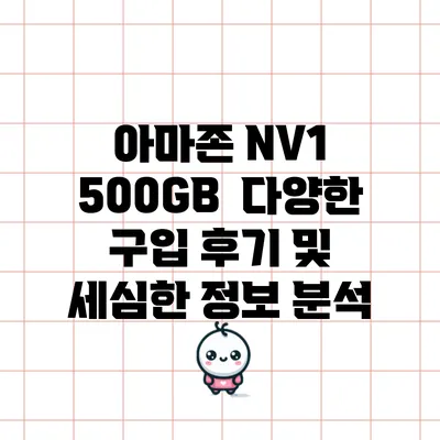 아마존 NV1 500GB : 다양한 구입 후기 및 세심한 정보 분석