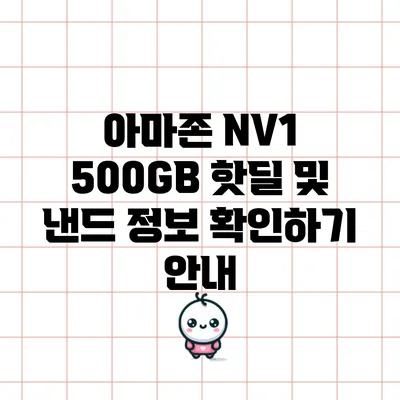 아마존 NV1 500GB 핫딜 및 낸드 정보 확인하기 안내