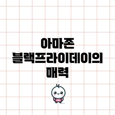 아마존 블랙프라이데이의 매력